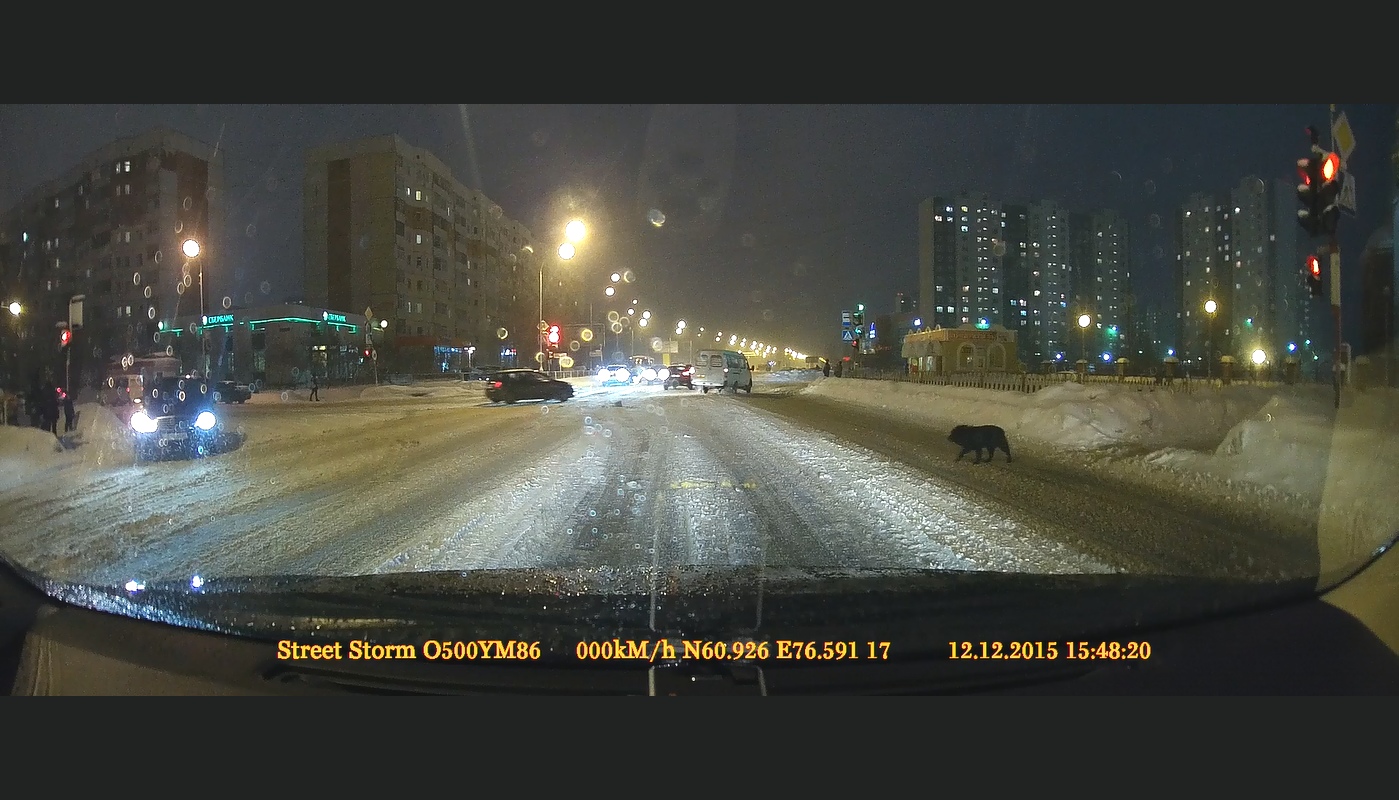 Frame 2015.12.12 15-48-19 (0-11-53.760).jpg