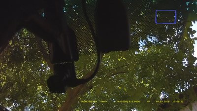 07071208_0653.MP4_snapshot_00.00.542.jpg