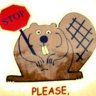 beaver17