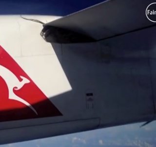 Змея на самолете-из связанного видео
